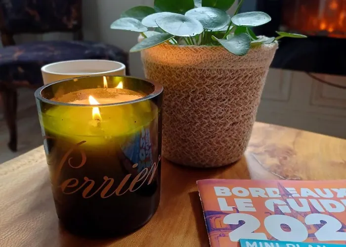 T2 Bis Atypique Bordeaux-centre - Classement 3 Etoiles Apartamento *